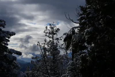 DSC_0766 (Large).JPG